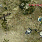 Guess pic!